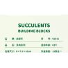 QIZHILE 92015 non  DÒNG MỌNG NƯỚC 12 LOẠI bộ đồ chơi xếp lắp ráp ghép mô hình Creator SUCCULENTS Sáng Tạo