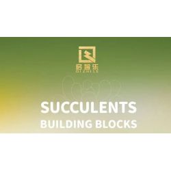 QIZHILE 92015 non  DÒNG MỌNG NƯỚC 12 LOẠI bộ đồ chơi xếp lắp ráp ghép mô hình Creator SUCCULENTS Sáng Tạo