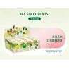 QIZHILE 92015 non  DÒNG MỌNG NƯỚC 12 LOẠI bộ đồ chơi xếp lắp ráp ghép mô hình Creator SUCCULENTS Sáng Tạo