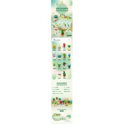 QIZHILE 92016 non  DÒNG MỌNG NƯỚC 12 LOẠI bộ đồ chơi xếp lắp ráp ghép mô hình Creator SUCCULENTS Sáng Tạo