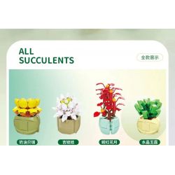 QIZHILE 92016 non  DÒNG MỌNG NƯỚC 12 LOẠI bộ đồ chơi xếp lắp ráp ghép mô hình Creator SUCCULENTS Sáng Tạo
