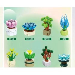 QIZHILE 92016 non  DÒNG MỌNG NƯỚC 12 LOẠI bộ đồ chơi xếp lắp ráp ghép mô hình Creator SUCCULENTS Sáng Tạo