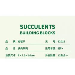 QIZHILE 92016 non  DÒNG MỌNG NƯỚC 12 LOẠI bộ đồ chơi xếp lắp ráp ghép mô hình Creator SUCCULENTS Sáng Tạo