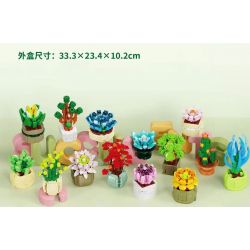 QIZHILE 92016 non  DÒNG MỌNG NƯỚC 12 LOẠI bộ đồ chơi xếp lắp ráp ghép mô hình Creator SUCCULENTS Sáng Tạo