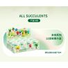 QIZHILE 92016 non  DÒNG MỌNG NƯỚC 12 LOẠI bộ đồ chơi xếp lắp ráp ghép mô hình Creator SUCCULENTS Sáng Tạo