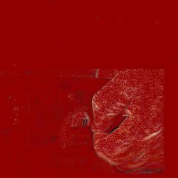 PANTASY 85009 non  MÁY HÁT CỔ ĐIỂN bộ đồ chơi xếp lắp ráp ghép mô hình Creator RETRO GRAMOPHONE Sáng Tạo 800 khối