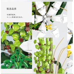 XINGBAO XB-05005 05005 XB05005 non  CÂY TRỒNG TRONG CHẬU HOA YAOCAO LINGUANG bộ đồ chơi xếp lắp ráp ghép mô hình Creator A FAIRYLAND PLANT WITH GLORY Sáng Tạo 993 khối