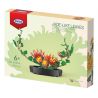 XINGBAO XB-05006 05006 XB05006 non  CÂY TRỒNG TRONG CHẬU HOA JADE ASTER SHADOW bộ đồ chơi xếp lắp ráp ghép mô hình Creator JADE-LIKE LEAVES AND GRACEFUL CHRYSANTHEMUM Sáng Tạo 991 khối