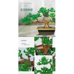 XINGBAO XB-05006 05006 XB05006 non  CÂY TRỒNG TRONG CHẬU HOA JADE ASTER SHADOW bộ đồ chơi xếp lắp ráp ghép mô hình Creator JADE-LIKE LEAVES AND GRACEFUL CHRYSANTHEMUM Sáng Tạo 991 khối