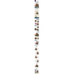 MorkModel 033004 Mork Model 033004 REBRICKABLE MOC-68083 68083 MOC68083 non  TRANG TRẠI THỜI TRUNG CỔ bộ đồ chơi xếp lắp ráp ghép mô hình Creator MEDIEVAL FARMHOUSE Sáng Tạo 2024 khối