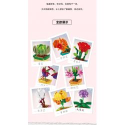 Kazi KY81124 81124 NGÔN NGỮ HOA 8 LOẠI CÚC LAN ANH TÚC ĐÈN LỒNG BƯỚM MỘC CỦ SEN HÀNH LÁ bộ đồ chơi xếp lắp ráp ghép mô hình Creator FLOWER LANGUAGE Sáng Tạo 805 khối