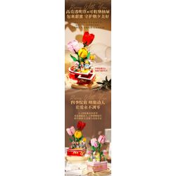 QUNO 88001 NGƯỜI BẠN ĐỒNG HÀNH NGỌT NGÀO CỦA bộ đồ chơi xếp lắp ráp ghép mô hình Creator Sáng Tạo