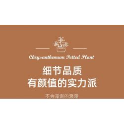 JIESTAR JJ9036 9036 CHẬU CÂY HOA CÚC bộ đồ chơi xếp lắp ráp ghép mô hình Creator CHIYSANTHEMUM POTTED PLANT Sáng Tạo 900 khối