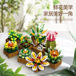 JIESTAR JJ9037 9037 MỌNG NƯỚC bộ đồ chơi xếp lắp ráp ghép mô hình Creator BOTANICAL GARDEN Sáng Tạo 913 khối