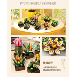 JIESTAR JJ9037 9037 MỌNG NƯỚC bộ đồ chơi xếp lắp ráp ghép mô hình Creator BOTANICAL GARDEN Sáng Tạo 913 khối