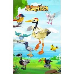 Kazi KY80060 80060 CHIẾN DỊCH BRIGHT WINGS 8 MÔ HÌNH HẢI ÂU SẾU ĐẦU ĐỎ NGỖNG HÀ DIỆC ĐÊM QUẠ CHIM VÀNG ANH HÚT MẬT ĐUÔI LỬA TUCAN bộ đồ chơi xếp lắp ráp ghép mô hình Creator Sáng Tạo 1369 khối