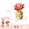 GEKKOSHA 804430 NGÔN NGỮ HOA TÌNH CẢM EPIPHYLLUM bộ đồ chơi xếp lắp ráp ghép mô hình Creator Sáng Tạo