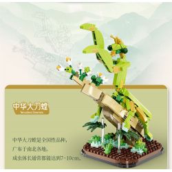 MOYU BLOCK MY97127 97127 THẾ GIỚI CÔN TRÙNG BỌ NGỰA TRUNG QUỐC bộ đồ chơi xếp lắp ráp ghép mô hình INSECT BEAUTIFUL WORLD 423 khối
