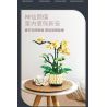JIESTAR JJ9067 9067 CHẬU CÂY PHONG LAN bộ đồ chơi xếp lắp ráp ghép mô hình Creator ORCHID GRACE Sáng Tạo 971 khối