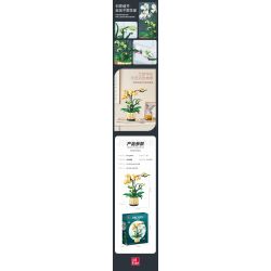 JIESTAR JJ9067 9067 CHẬU CÂY PHONG LAN bộ đồ chơi xếp lắp ráp ghép mô hình Creator ORCHID GRACE Sáng Tạo 971 khối