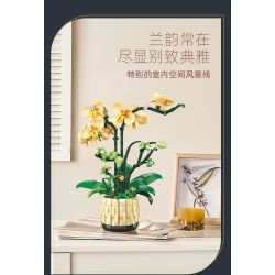 JIESTAR JJ9067 9067 CHẬU CÂY PHONG LAN bộ đồ chơi xếp lắp ráp ghép mô hình Creator ORCHID GRACE Sáng Tạo 971 khối