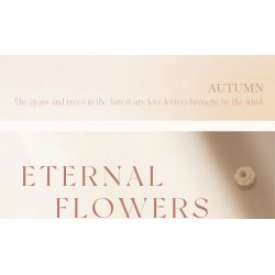 WEILE CREATION 2159 NGÔN NGỮ CỦA HOA KHÔNG NGỦ HỒNG MẶT MỰC bộ đồ chơi xếp lắp ráp ghép mô hình Creator Sáng Tạo 352 khối