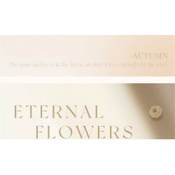 WEILE CREATION 2160 TIẾNG HOA KHÔNG NGỦ TRĂNG THU ĐẦY HƯỚNG DƯƠNG bộ đồ chơi xếp lắp ráp ghép mô hình Creator Sáng Tạo 385 khối