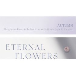 WEILE CREATION 2162 TIẾNG HOA KHÔNG NGỦ LÁ NHỰA RUỒI GÃY bộ đồ chơi xếp lắp ráp ghép mô hình Creator Sáng Tạo 376 khối