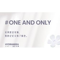 WEILE CREATION 2162 TIẾNG HOA KHÔNG NGỦ LÁ NHỰA RUỒI GÃY bộ đồ chơi xếp lắp ráp ghép mô hình Creator Sáng Tạo 376 khối