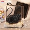 BALODY 21328 CHAOCHUANGSHE THIÊN NGA ĐEN bộ đồ chơi xếp lắp ráp ghép mô hình BLACK SWAN