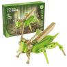 CACO 30009 THẾ GIỚI CÔN TRÙNG 8 MÔ HÌNH bộ đồ chơi xếp lắp ráp ghép mô hình INSECT WORLD 772 khối