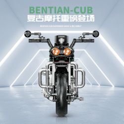 PLEYERID M38-P8160 P8160 8160 M38P8160 38-P8160 HOA THIÊN NGA HAI MÀU bộ đồ chơi xếp lắp ráp ghép mô hình Arts & Crafts HOME DECORATION