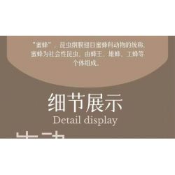 MINGDI LEIBAO K3036 3036 NGÔI TRƯỜNG ĐẸP NHẤT ĐẠI HỌC KHOA VÀ CÔNG NGHỆ TRUNG QUỐC bộ đồ chơi xếp lắp ráp ghép mô hình Creator FAMOUS SCHOOLS Sáng Tạo 1653 khối