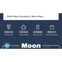 JIESTAR JJ9094 9094 HOA TRĂNG bộ đồ chơi xếp lắp ráp ghép mô hình Arts & Crafts MOON FLOWER 934 khối