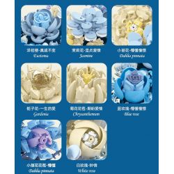 JIESTAR JJ9094 9094 HOA TRĂNG bộ đồ chơi xếp lắp ráp ghép mô hình Arts & Crafts MOON FLOWER 934 khối