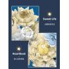 JIESTAR JJ9094 9094 HOA TRĂNG bộ đồ chơi xếp lắp ráp ghép mô hình Arts & Crafts MOON FLOWER 934 khối