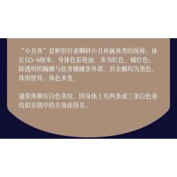 MouldKing 10102 Mould King 10102 THẾ GIỚI DƯỚI NƯỚC CÁ HỀ bộ đồ chơi xếp lắp ráp ghép mô hình UNDERWATER WORLD 426 khối