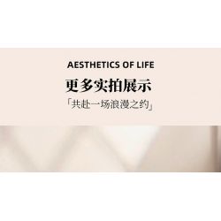 PLEYERID M38-P8061 P8061 8061 M38P8061 38-P8061 HOA HỒNG VẪN THƠM NHƯ NGÀY NÀO bộ đồ chơi xếp lắp ráp ghép mô hình Arts & Crafts