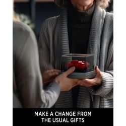 NIFELIZ NF10256 10256 HOA HỒNG bộ đồ chơi xếp lắp ráp ghép mô hình Arts & Crafts ROSEEVER