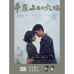 LOZ 1400-28 NGỌN LỬA TRÊN ĐỒNG BẰNG bộ đồ chơi xếp lắp ráp ghép mô hình Movie & Game Phim Và Trò Chơi