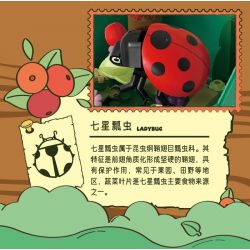 IBLOCK IB2202-3 2202-3 KẺ LANG THANG TRONG THẾ GIỚI CÔN TRÙNG BỌ RÙA BẢY SAO bộ đồ chơi xếp lắp ráp ghép mô hình LADYBUG