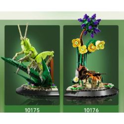 MouldKing 10175 Mould King 10175 CÔN TRÙNG CHÂU CHẤU bộ đồ chơi xếp lắp ráp ghép mô hình Arts & Crafts INSECT GRASSHOPPER 408 khối