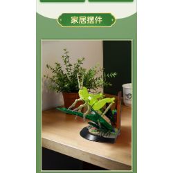 MouldKing 10175 Mould King 10175 CÔN TRÙNG CHÂU CHẤU bộ đồ chơi xếp lắp ráp ghép mô hình Arts & Crafts INSECT GRASSHOPPER 408 khối
