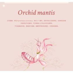 LOZ 4118 CÔN TRÙNG HOA CÕI BỌ NGỰA LAN bộ đồ chơi xếp lắp ráp ghép mô hình Arts & Crafts INSECT