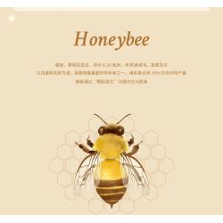 LOZ 4119 CÔN TRÙNG HOA CÕI ONG bộ đồ chơi xếp lắp ráp ghép mô hình Arts & Crafts INSECT