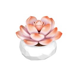 INBRIXX 655056 655057 655058 655059 655060 655061 655062 655063 655064 655065 10 CÂY CHẬU MỌNG NƯỚC GẤU CẬU BÉ TRỨNG ĐÀO CAM MONROE HOA HỒNG NÚI bộ đồ chơi xếp lắp ráp ghép mô hình Creator Sáng Tạo