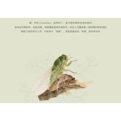 LOZ 4122 CÔN TRÙNG VÀ HOA CÕI CICADAS VÀNG THOÁT RA KHỎI VỎ CỦA CHÚNG bộ đồ chơi xếp lắp ráp ghép mô hình CICADIDAE 476 khối