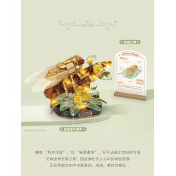 LOZ 4122 CÔN TRÙNG VÀ HOA CÕI CICADAS VÀNG THOÁT RA KHỎI VỎ CỦA CHÚNG bộ đồ chơi xếp lắp ráp ghép mô hình CICADIDAE 476 khối