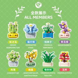 WEKKI 517216 HUAYU NHÃN DÁN TỦ LẠNH POT MỌNG NƯỚC 8 KIỂU bộ đồ chơi xếp lắp ráp ghép mô hình Creator Sáng Tạo