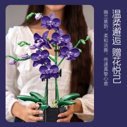 JIESTAR JJ9235 9235 HOA LAN MÀU TÍM bộ đồ chơi xếp lắp ráp ghép mô hình Creator ELEGANT VIOLET Sáng Tạo 666 khối